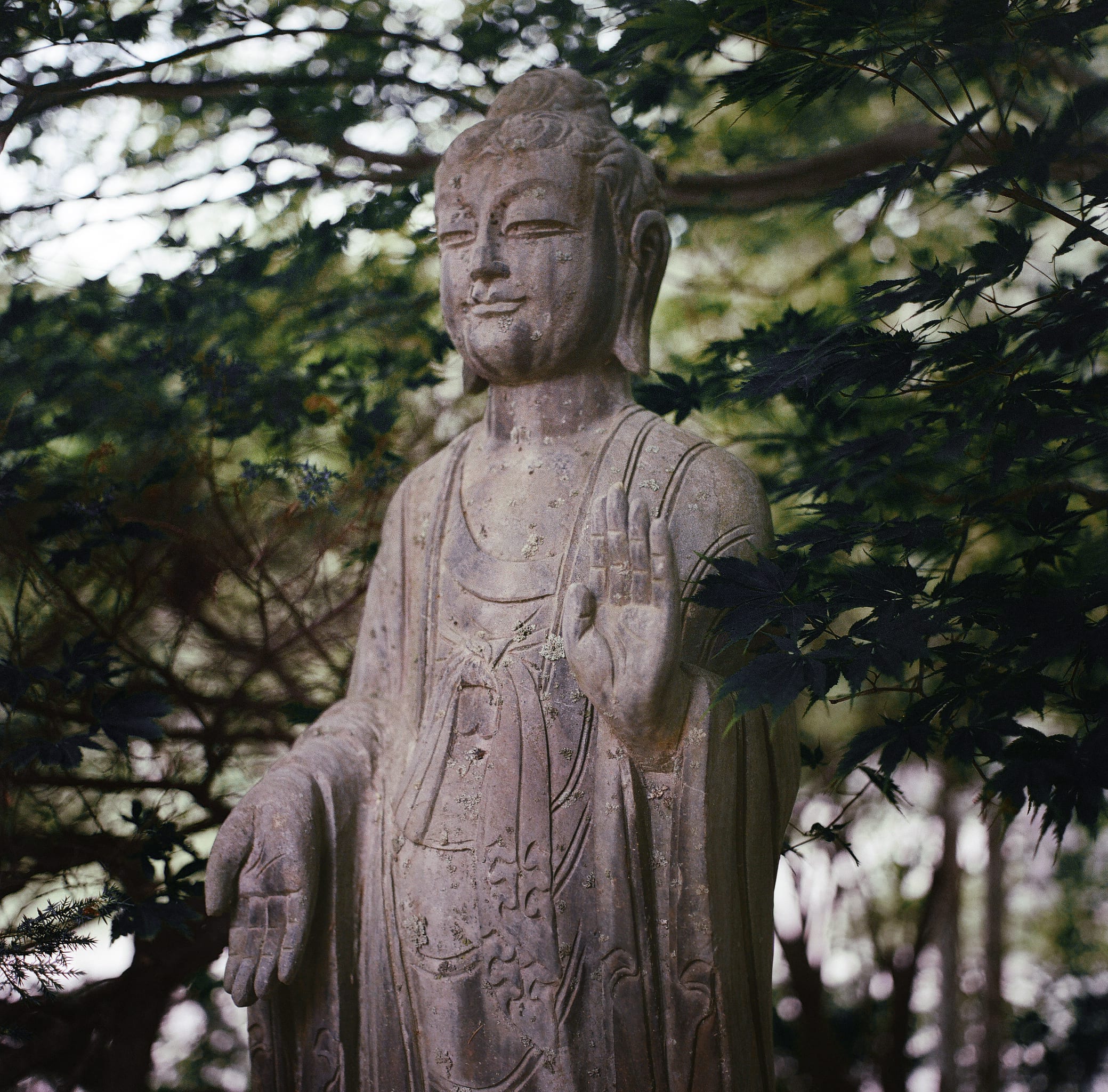 Rites of Light — 7