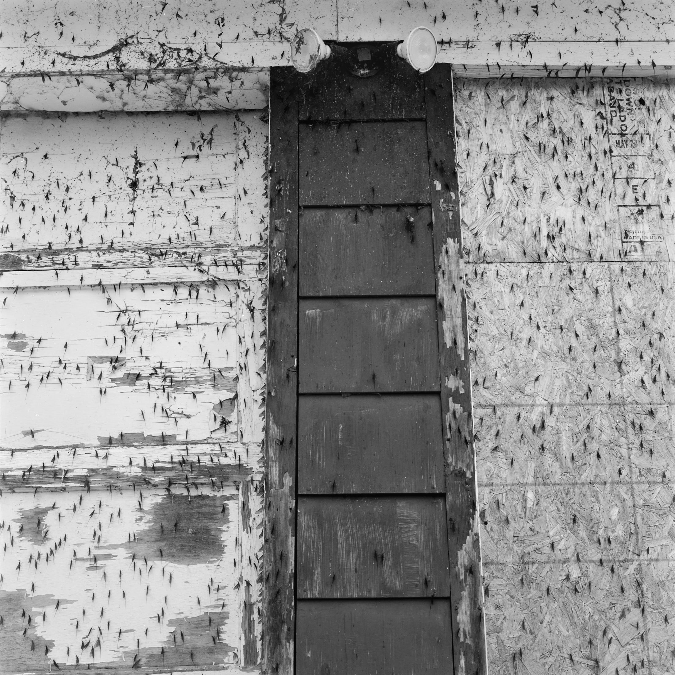 The Mindhouse — the marked wall