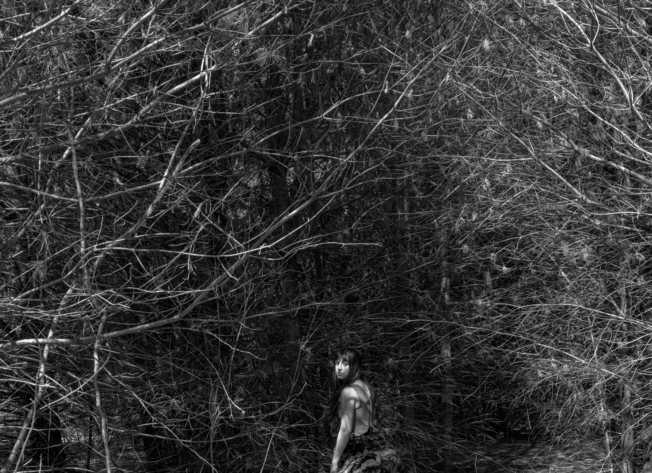 The Mindhouse — figure in the woods